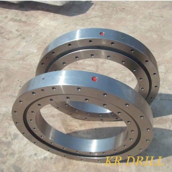 Slew bearing and Oil seal