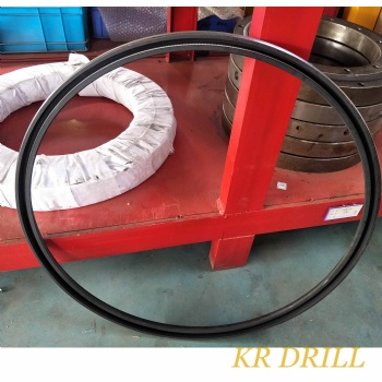 Slew bearing and Oil seal