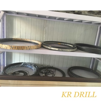 Slew bearing and Oil seal